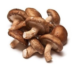 Champignons Shiitake 500gr