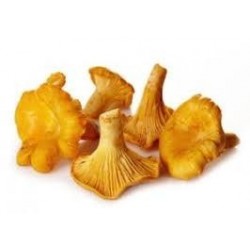 Girolles france 1KG