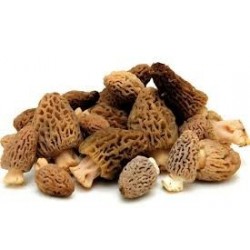 Morilles Fraiches 1kg