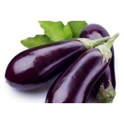 Aubergine 5 Kg