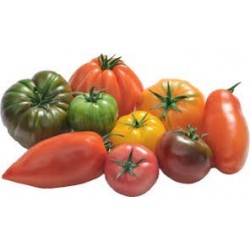Tomate d’antan 3.5 kg
