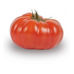 Tomate Grosse colis de 7 Kg