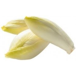 Endives colis vrac 5Kg