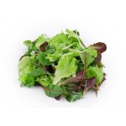 Salade Mesclun 500g Pcb 2