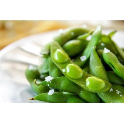 Edamame Surgelés  2 x 500...