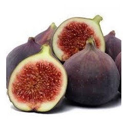 Figues fraiche  1.3 kg plateau