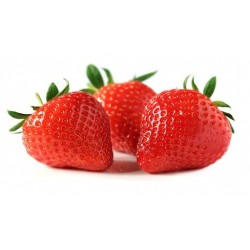 Fraises 1kg espagne