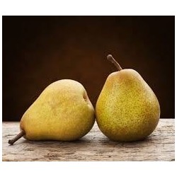 Poire Comice plateau 4 kg