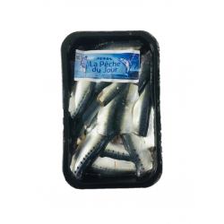 Sardines bretonnes  500 gr...